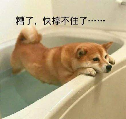 99的“穷鬼套餐”爆卖后汉堡王更惨了！(图1)