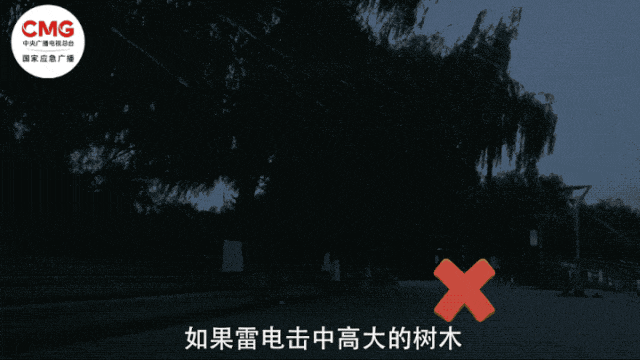 kaiyun体育官方网站雷击护栏13人受伤！紧急提醒→(图5)